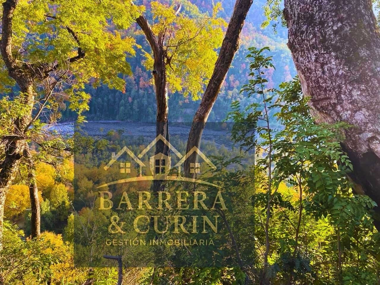 Los Pozones, Longavi