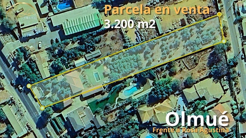 Frente a Rosa Agustina