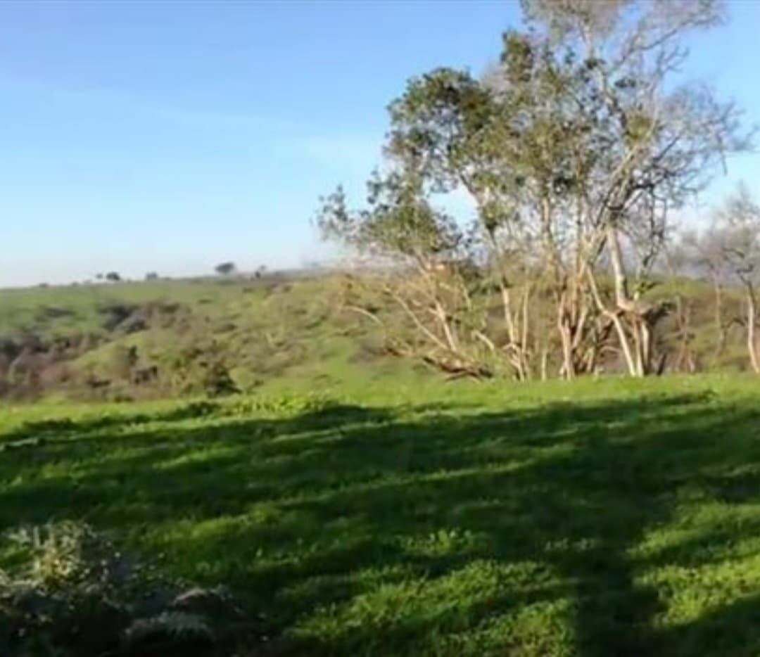 CAMINO LOS ESPINOS