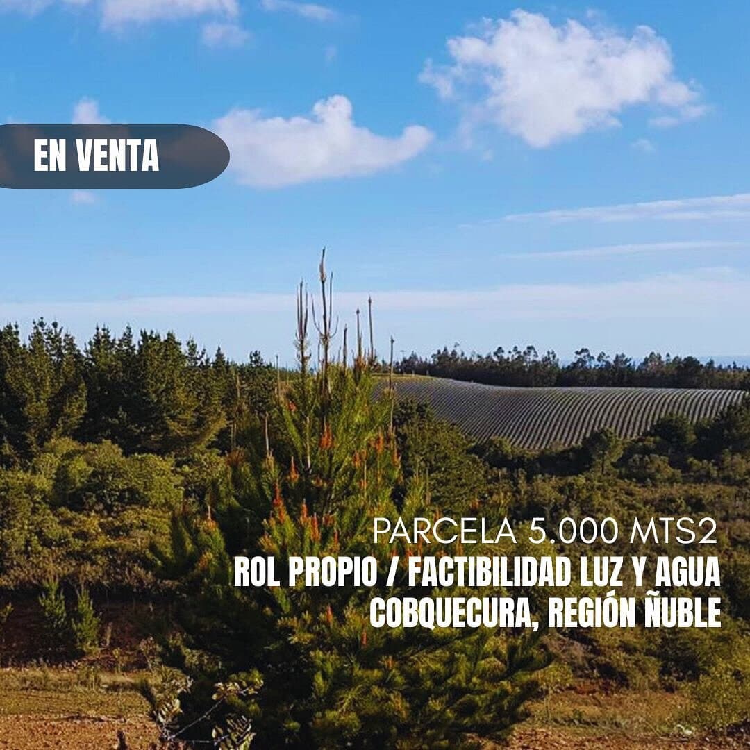 MIRADOR COBQUECURA