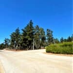 camino Antiguo algarrobo