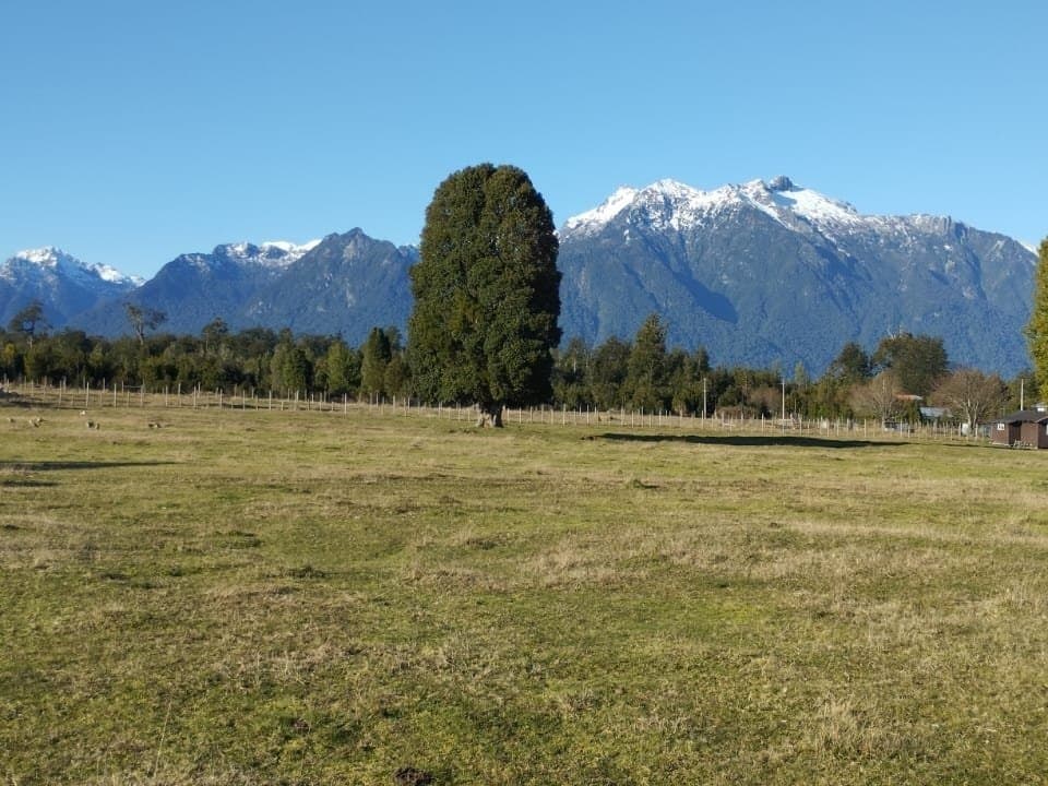 Lago Chapo