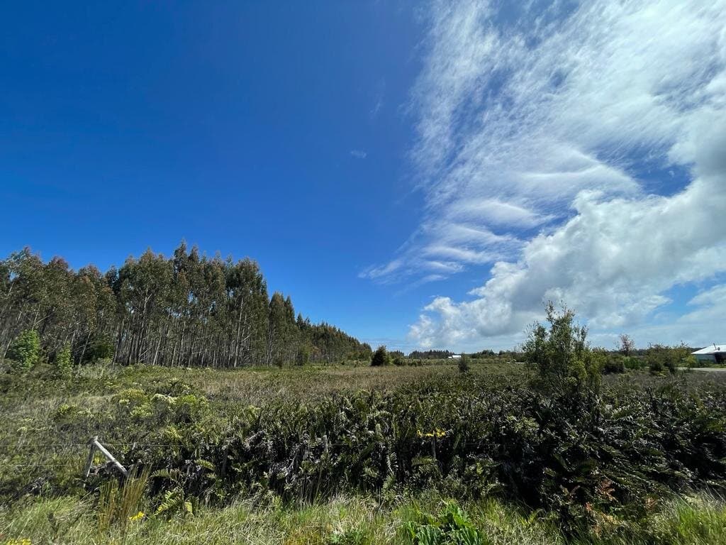 Rural