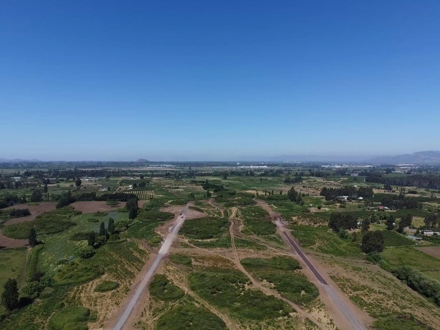 TENO CURICO