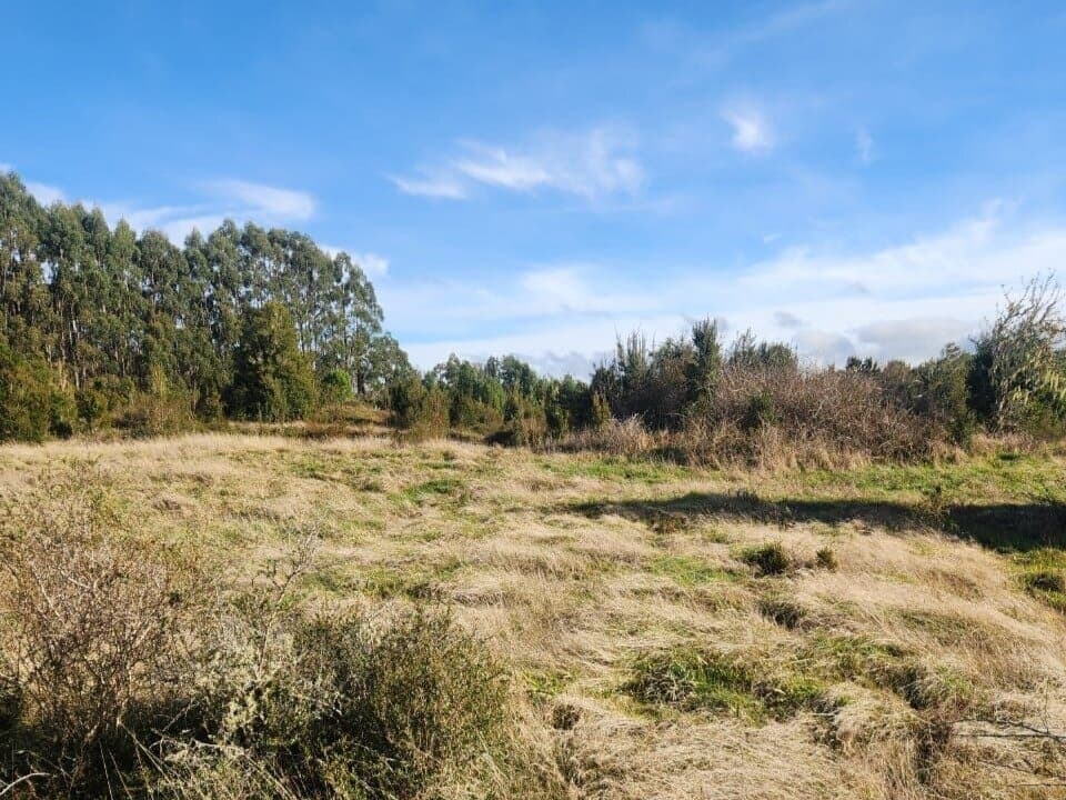 Rural