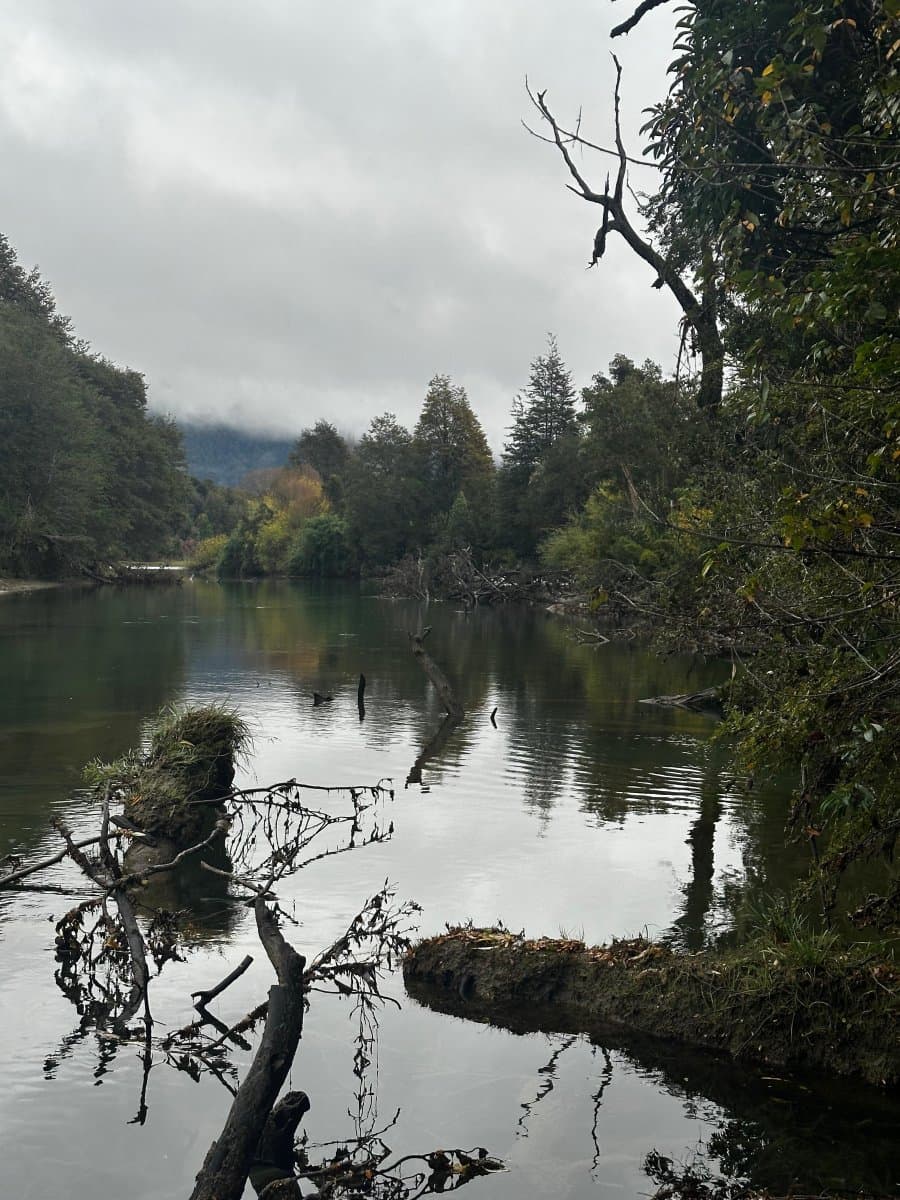 Rio Puelo