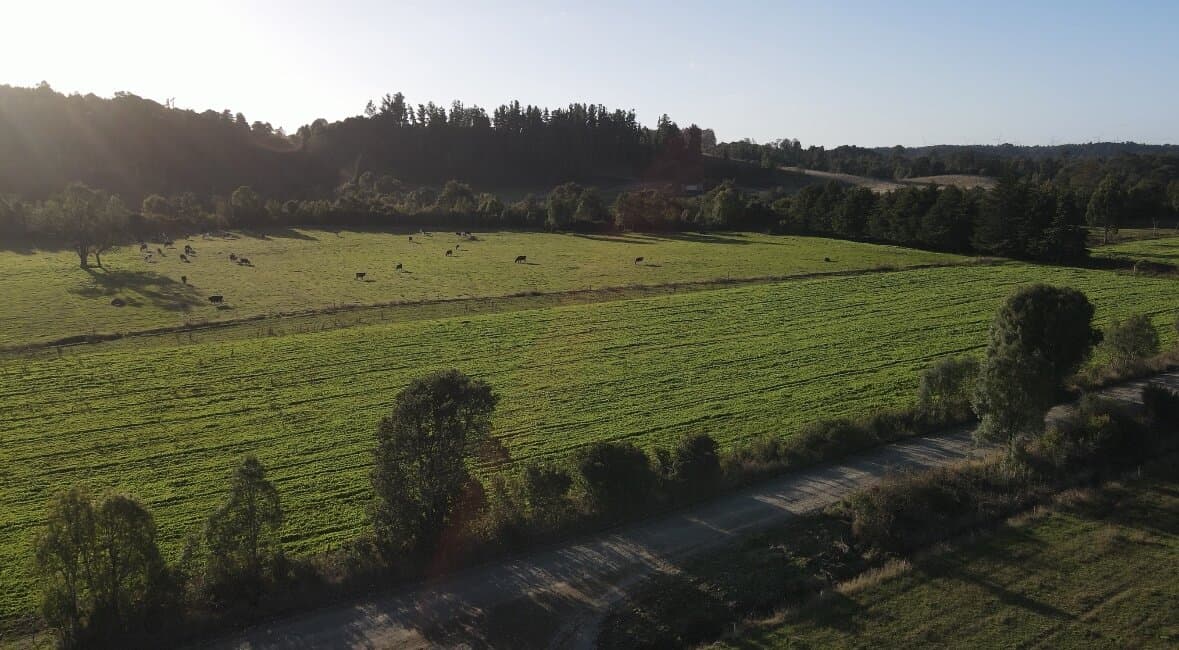 Camino Nueva Braunau