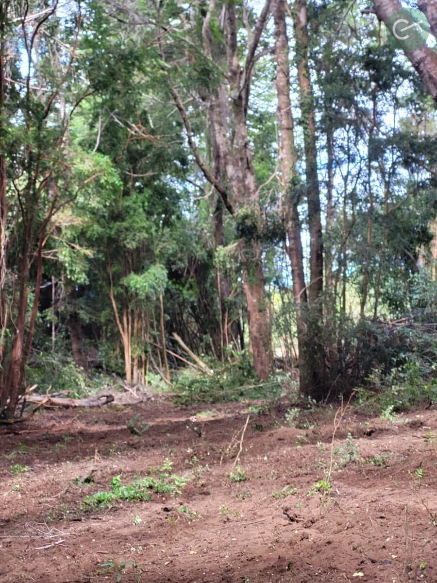 Pueblo de Lincay