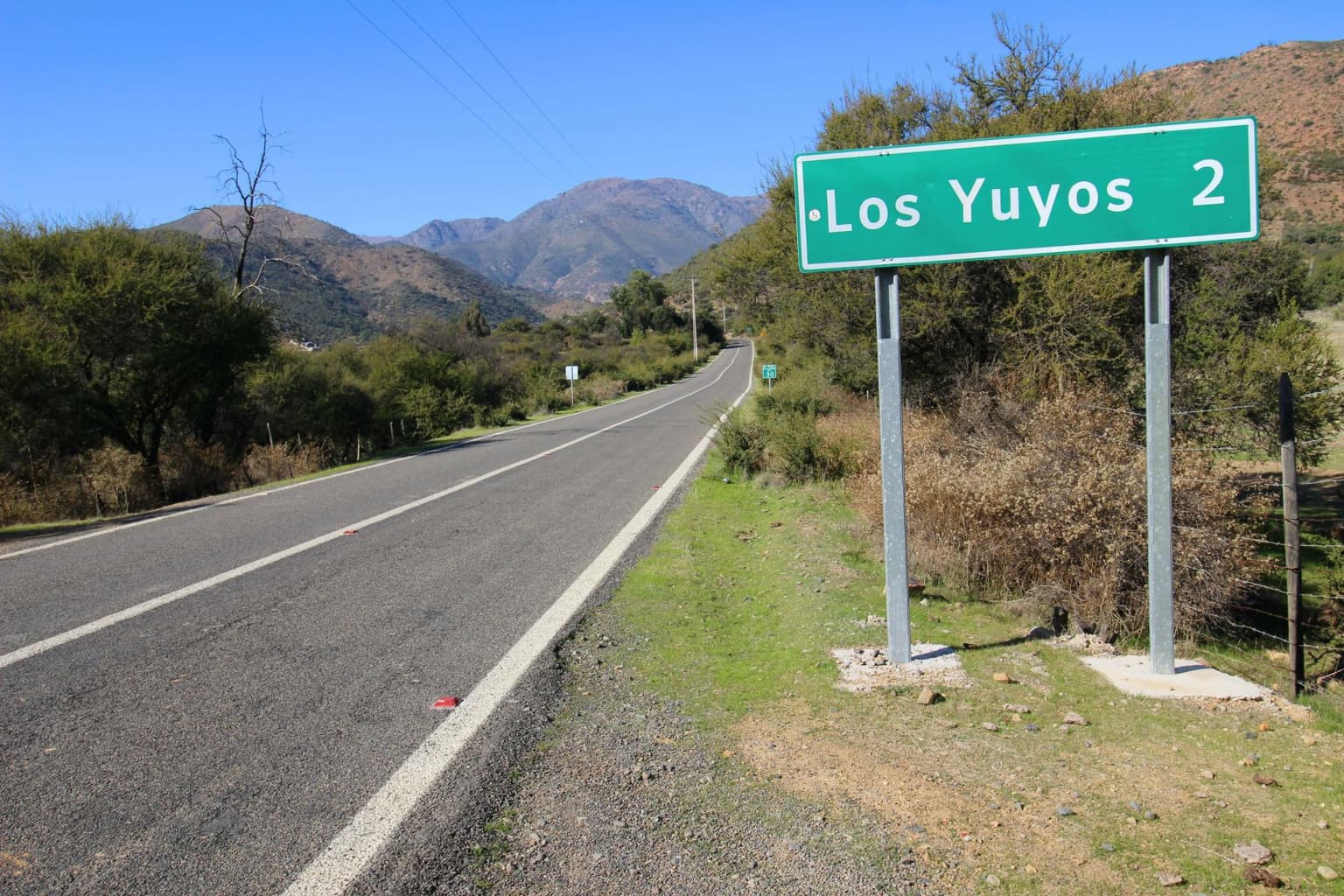 Colliguay