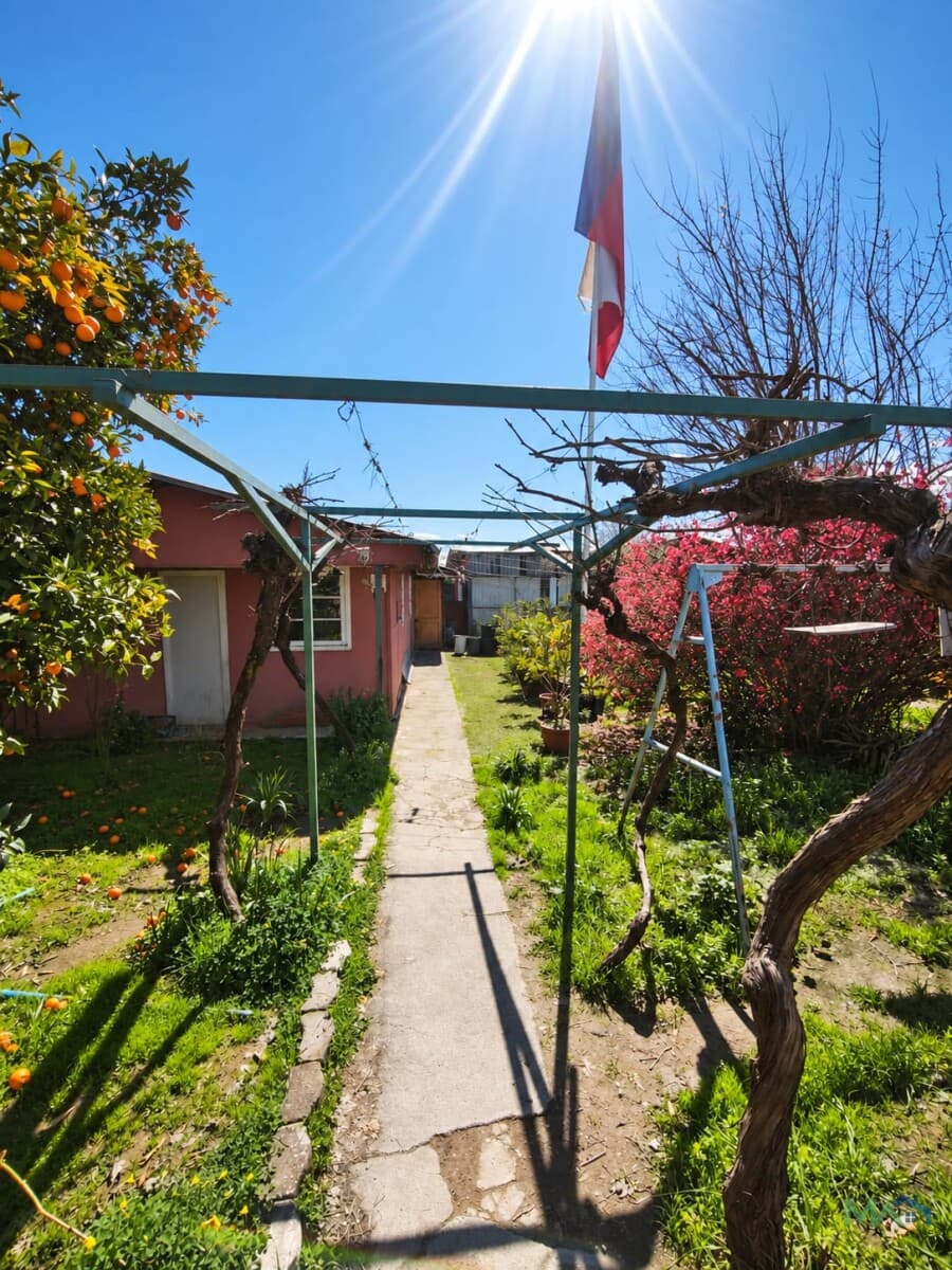 SAN PEDRO