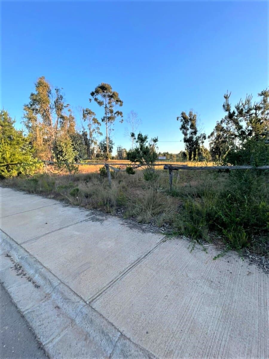 QUEBRADA LA FINCA
