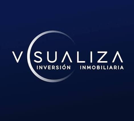 Visualiza logo