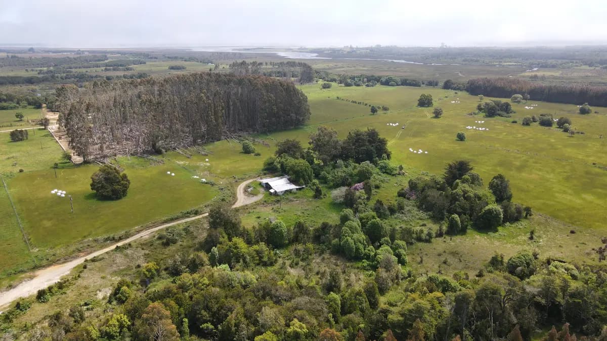 Ruta V-930, Maullín, Región de Los Lagos 5580000, Chile