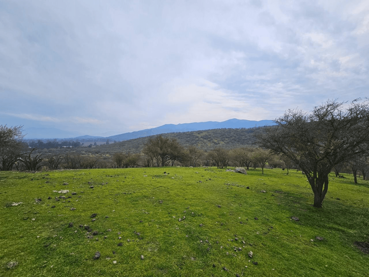 María Pinto, Región Metropolitana de Santiago, Chile