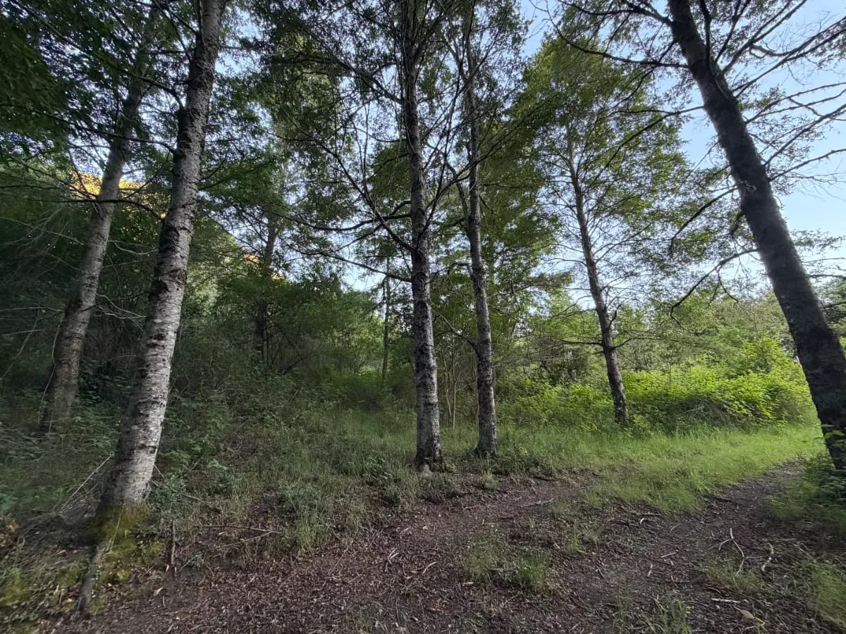 Curarrehue, Región de La Araucanía, Chile