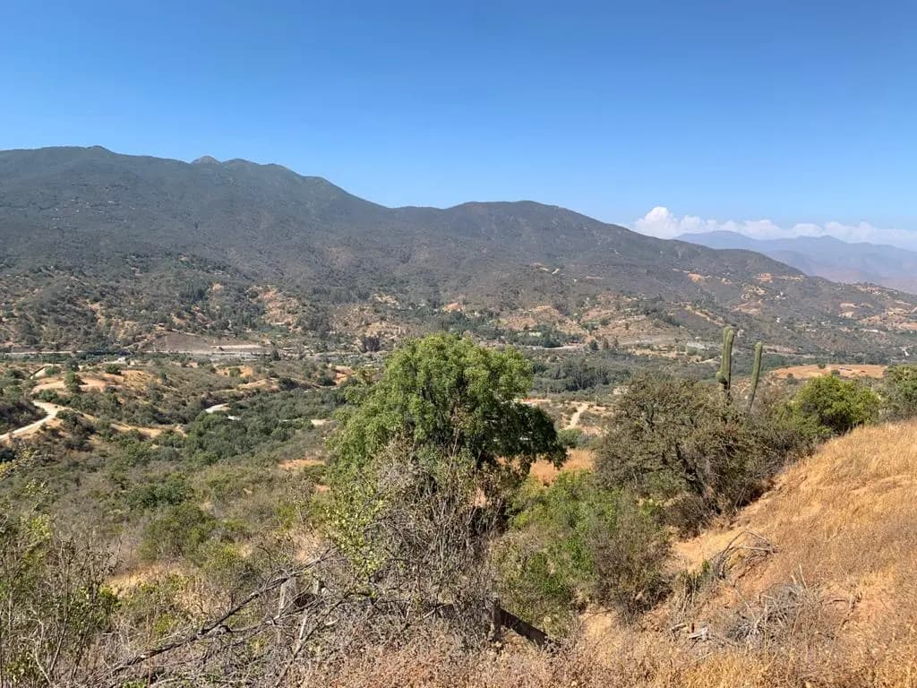 Cuesta Zapata, Casablanca, Región de Valparaíso 2480000, Chile