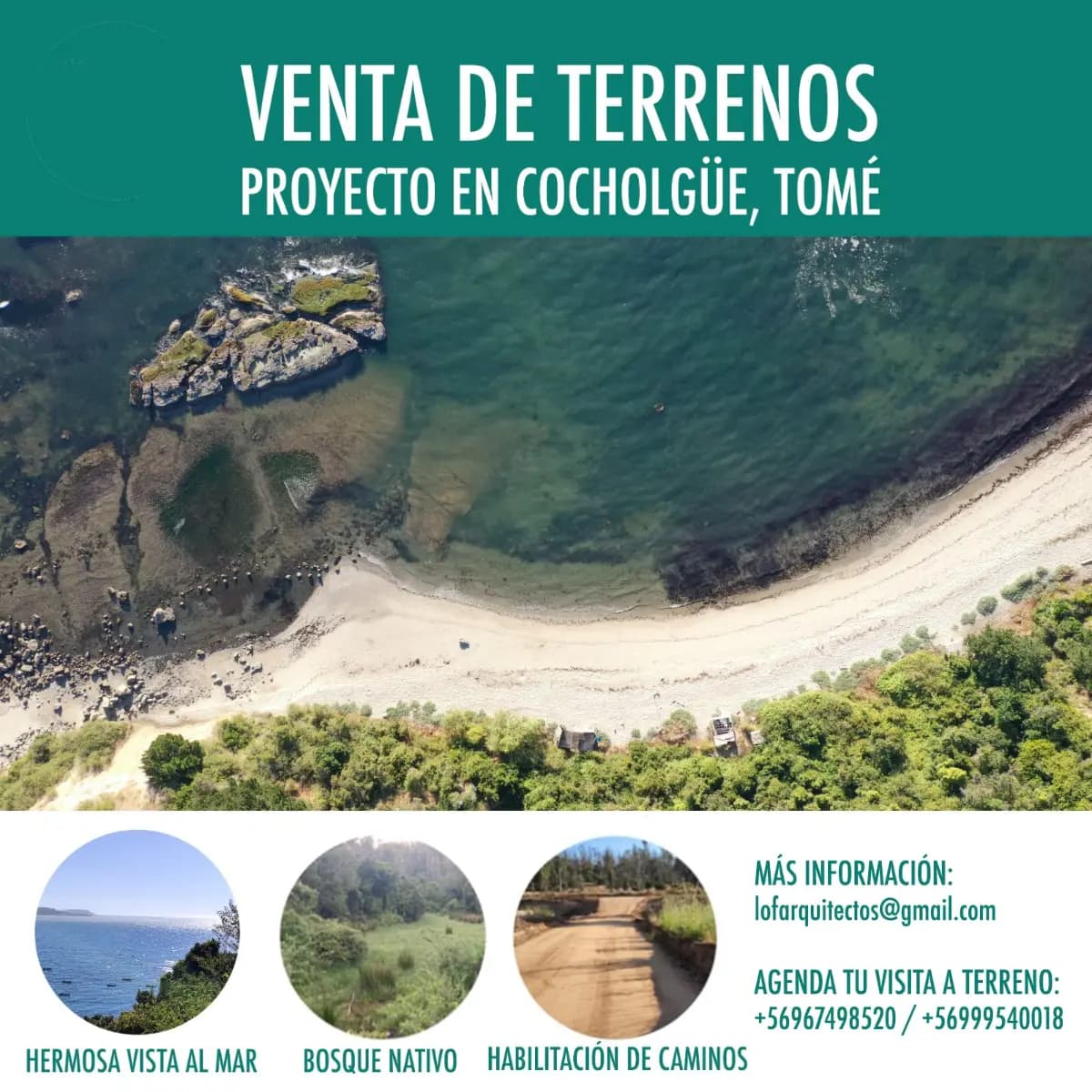 Avenida Cocholgüe, Tomé, Región del Biobío 4160000, Chile