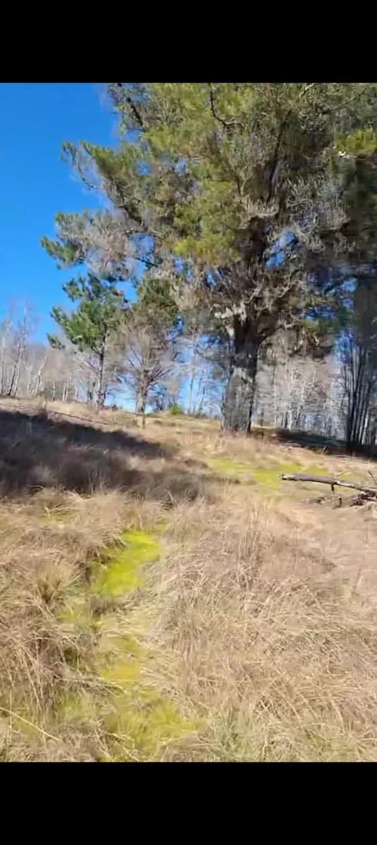 Chacay, Santa Juana, Región del Biobío 4230000, Chile