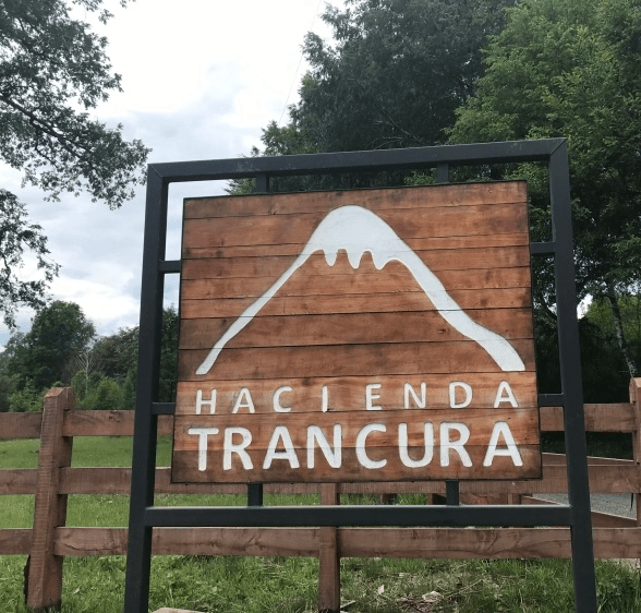 Camino Menetué, Pucón, Región de La Araucanía 4920000, Chile