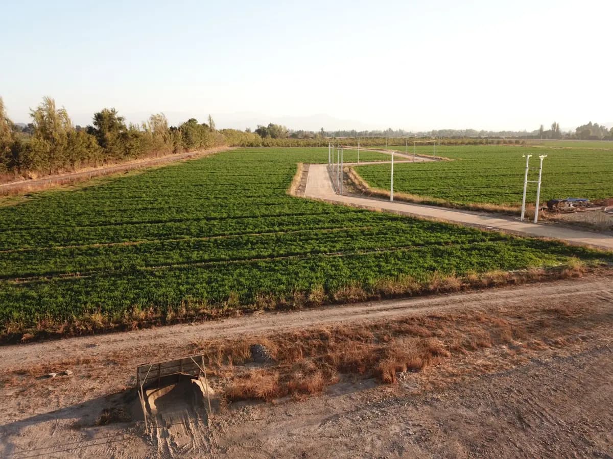 Avenida Manuel Castillo, Peñaflor, Región Metropolitana de Santiago 9750000, Chile