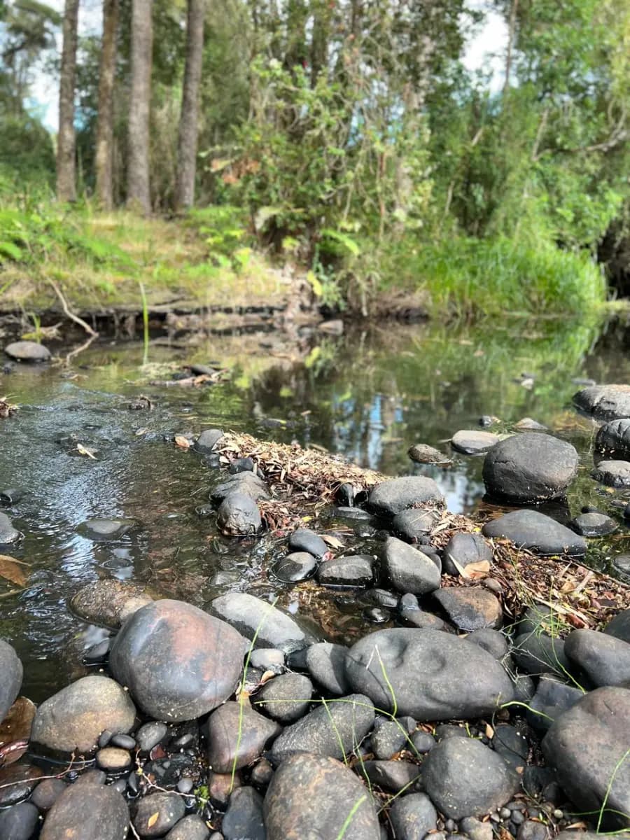 Río Negro, Región de Los Lagos, Chile