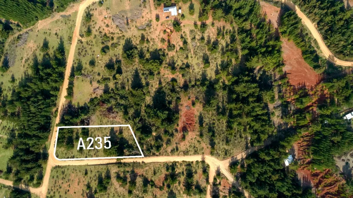 Camino Alto Ramírez, Pichilemu, Región de O'Higgins 3220000, Chile