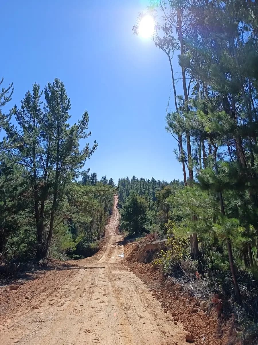 Licantén, Región del Maule, Chile