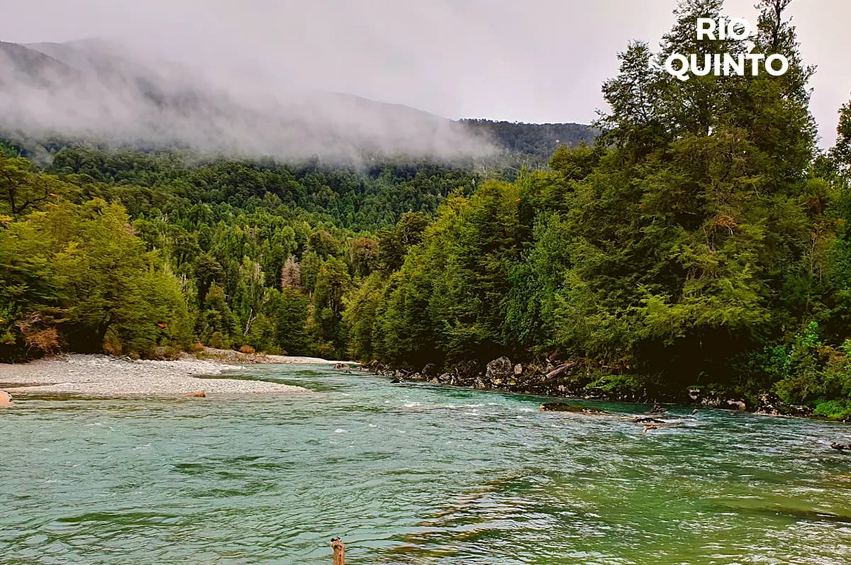 Ruta W-921, Chaitén, Región de Los Lagos 5850000, Chile