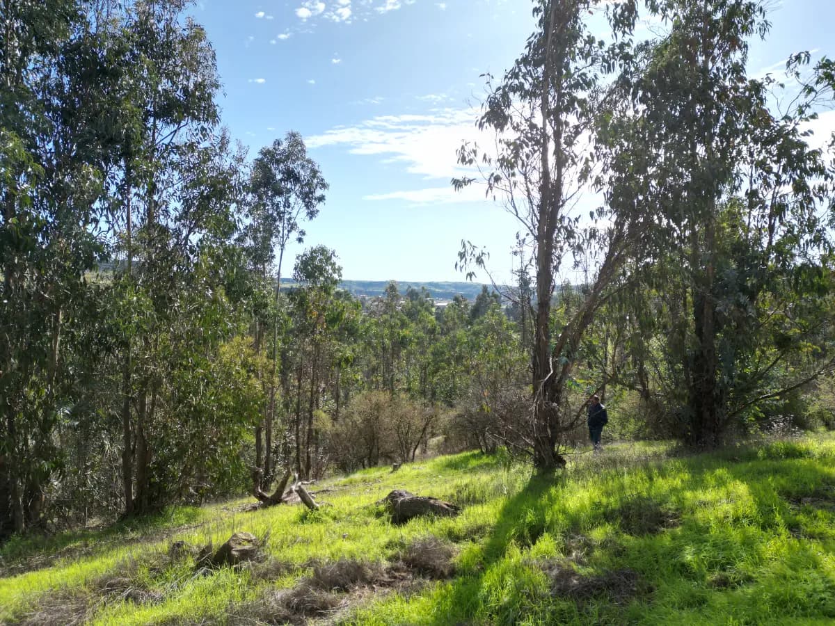 La Estrella, Región de O'Higgins, Chile