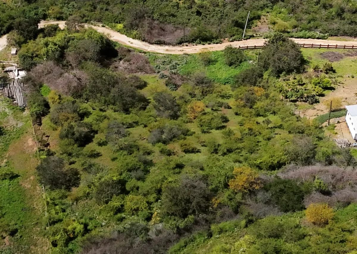 Rautén, Quillota, Región de Valparaíso, Chile