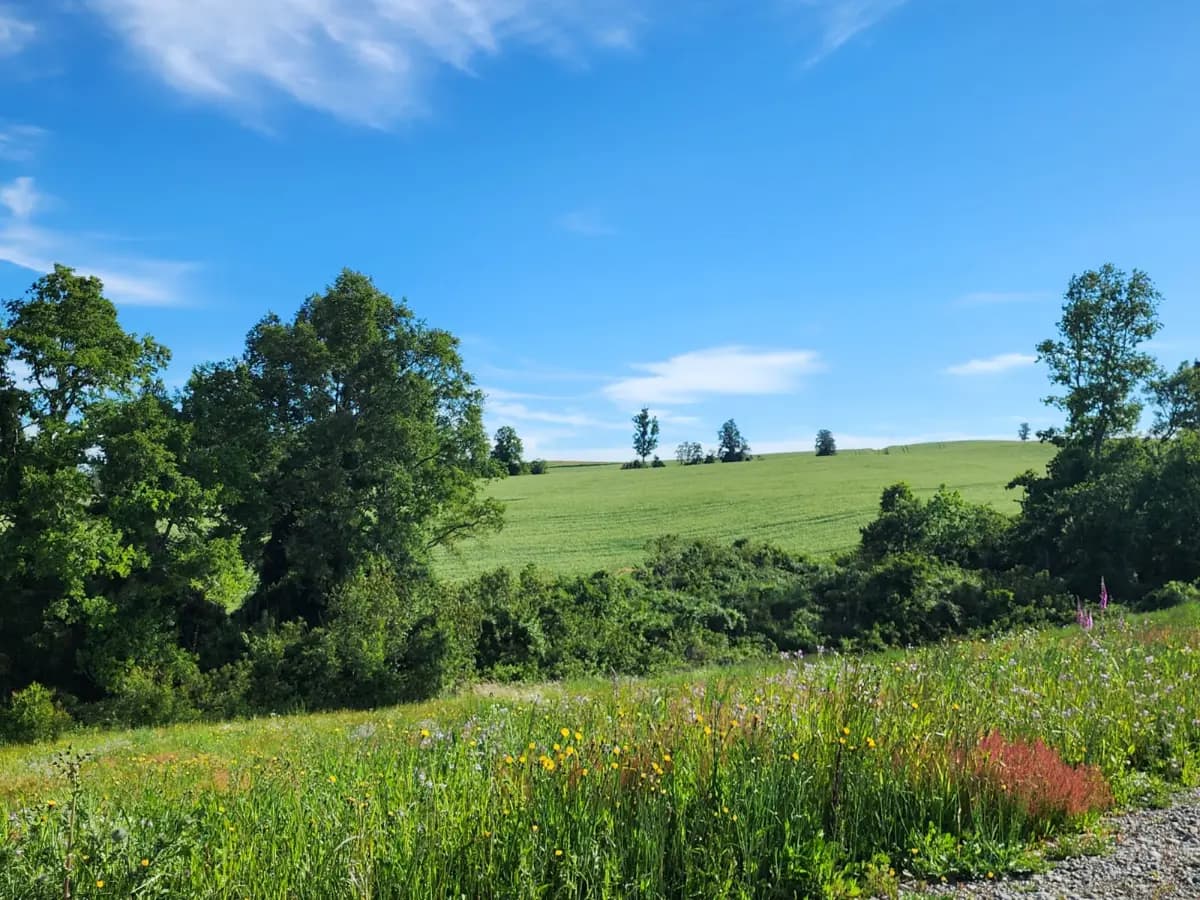 Lago Rupanco, Puerto Montt, Región de Los Lagos 5480000, Chile