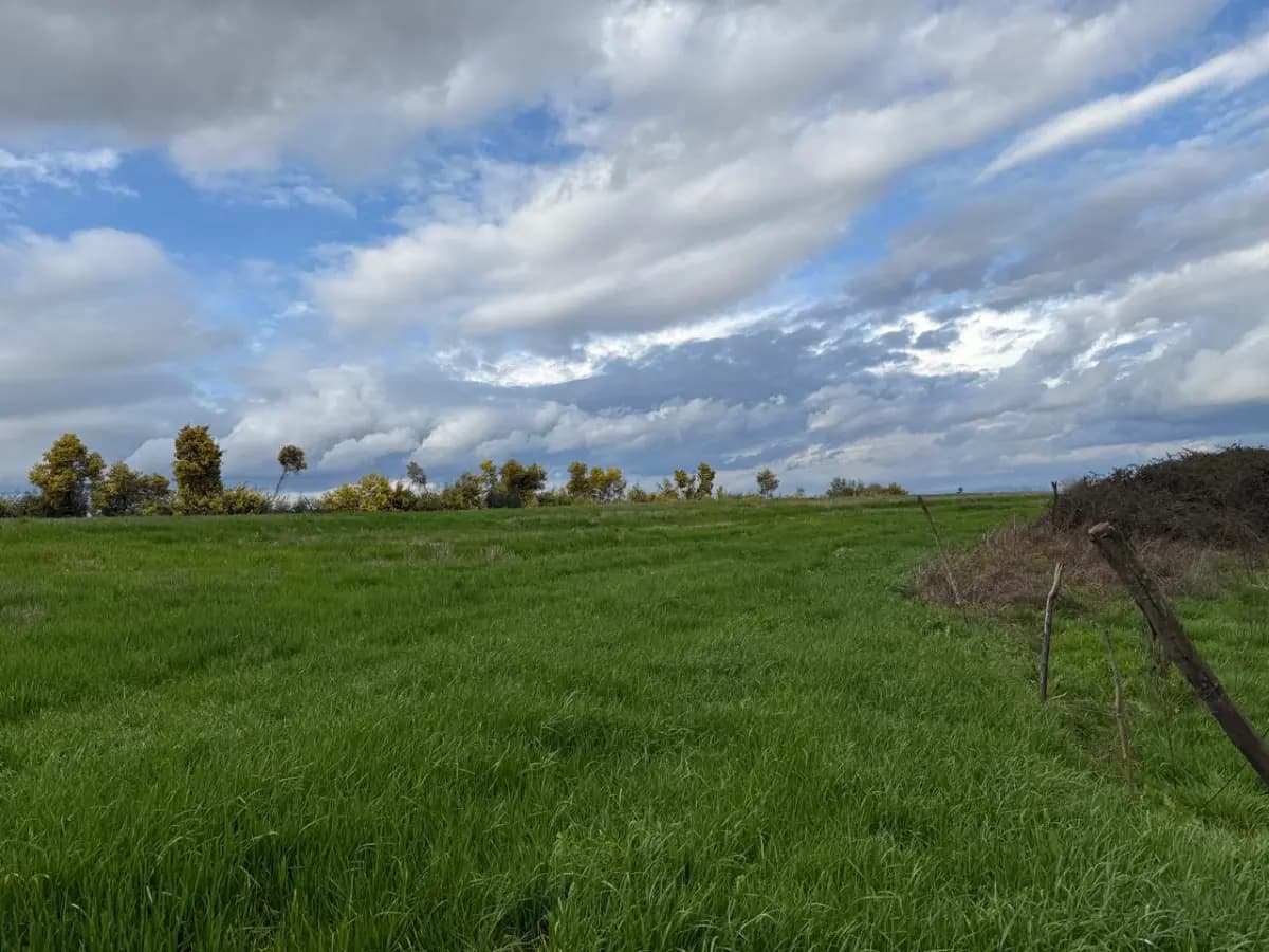 Longaví, Región del Maule, Chile