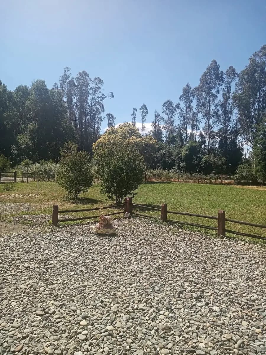 Ruta S-65, Pitrufquén, Región de La Araucanía 4950000, Chile