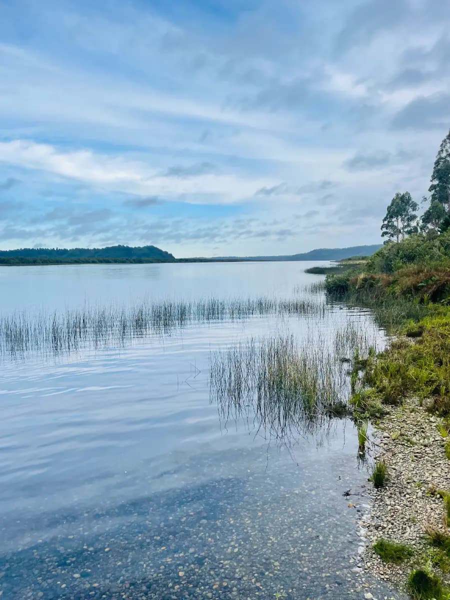 Ruta V-702, Los Muermos, Región de Los Lagos 5590000, Chile