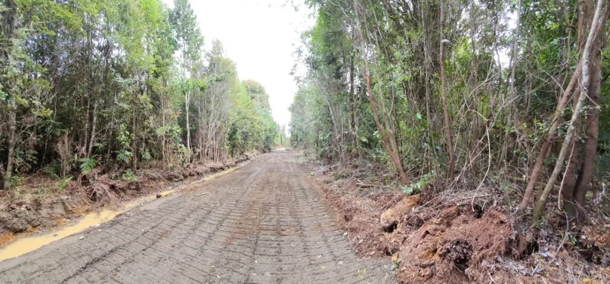 Ancud, Región de Los Lagos, Chile