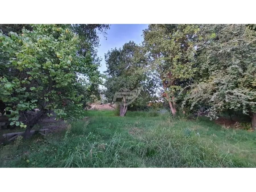 Calle Larga, Región de Valparaíso, Chile