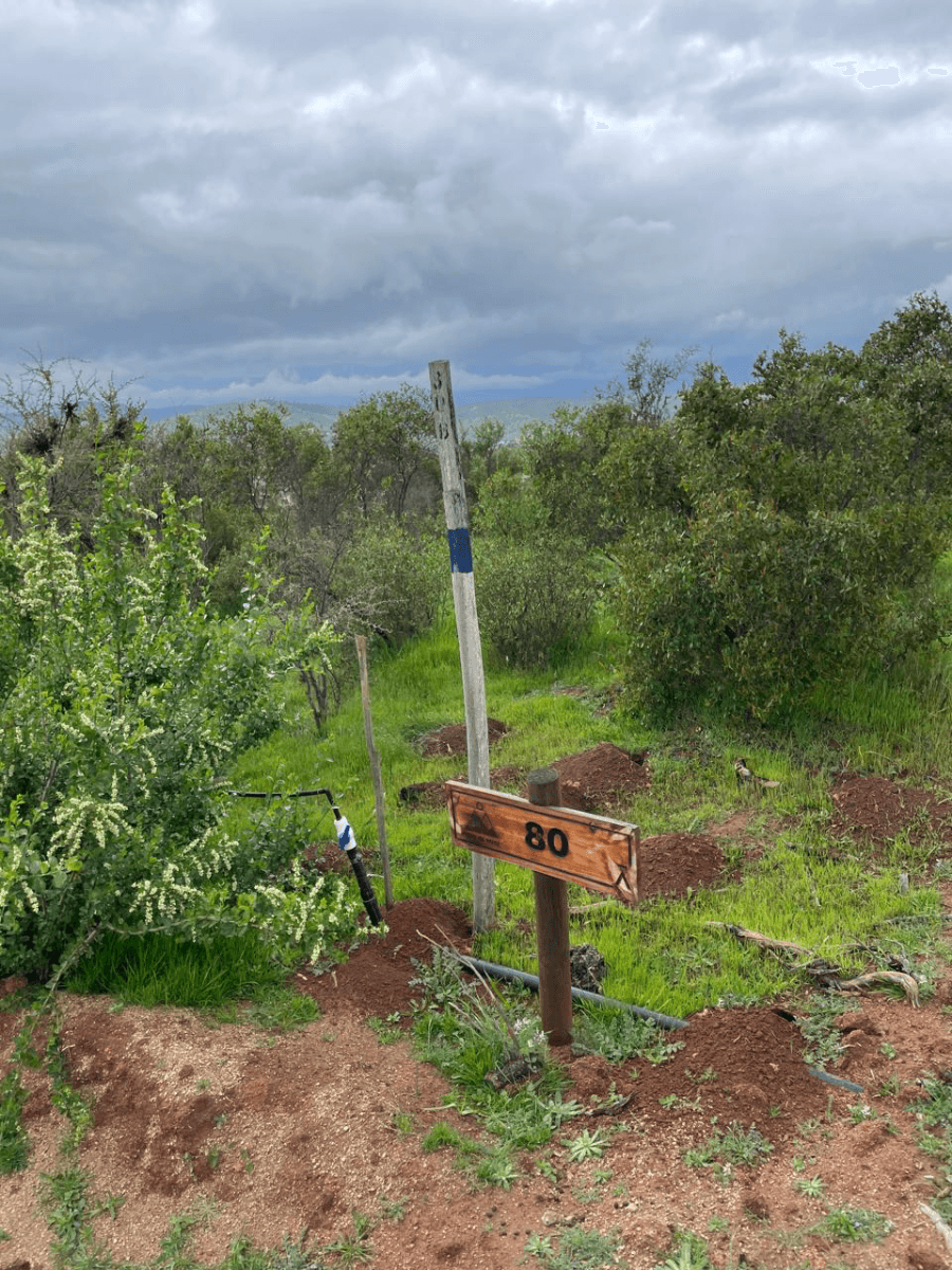 Peñablanca, Viña del Mar, Región de Valparaíso 2520000, Chile
