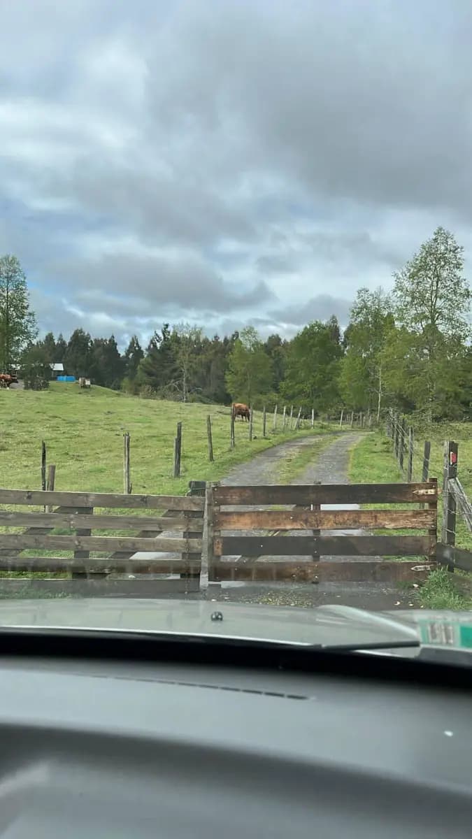 U-400, San Juan de la Costa, Región de Los Lagos 5400000, Chile
