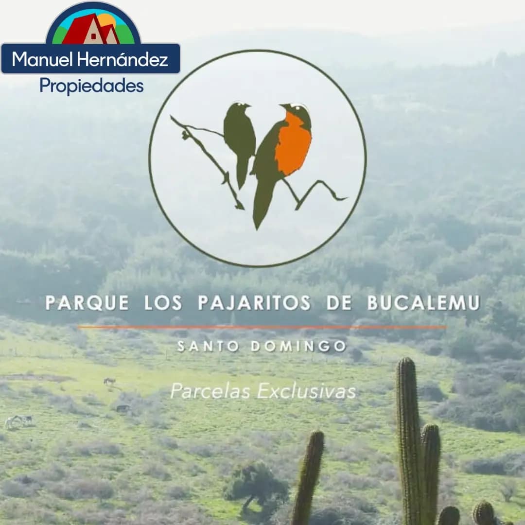 Santo Domingo, Región de Valparaíso, Chile