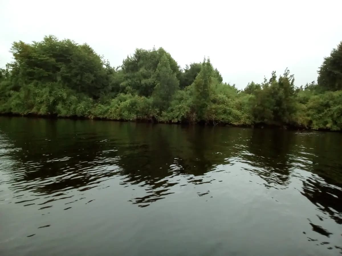 Ancud, Región de Los Lagos, Chile