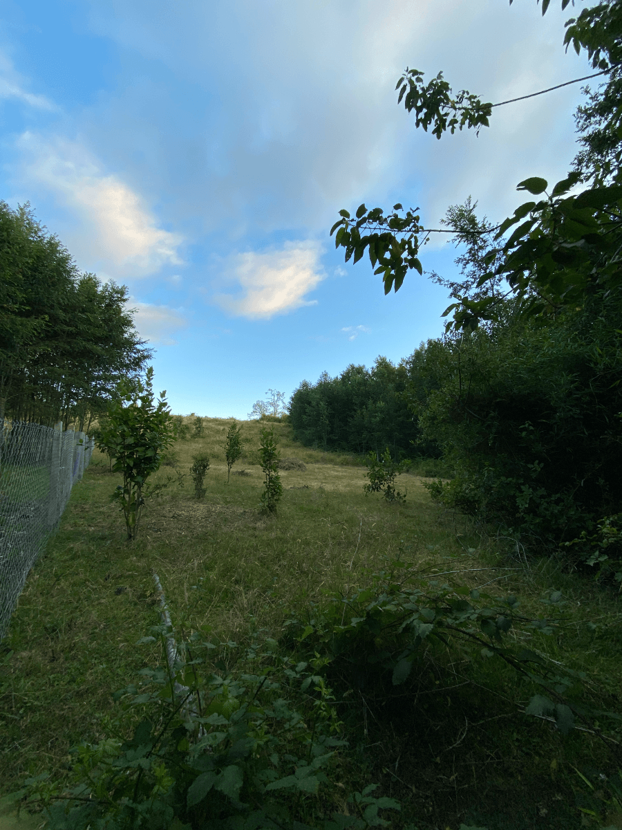 Panguipulli, Región de Los Ríos, Chile
