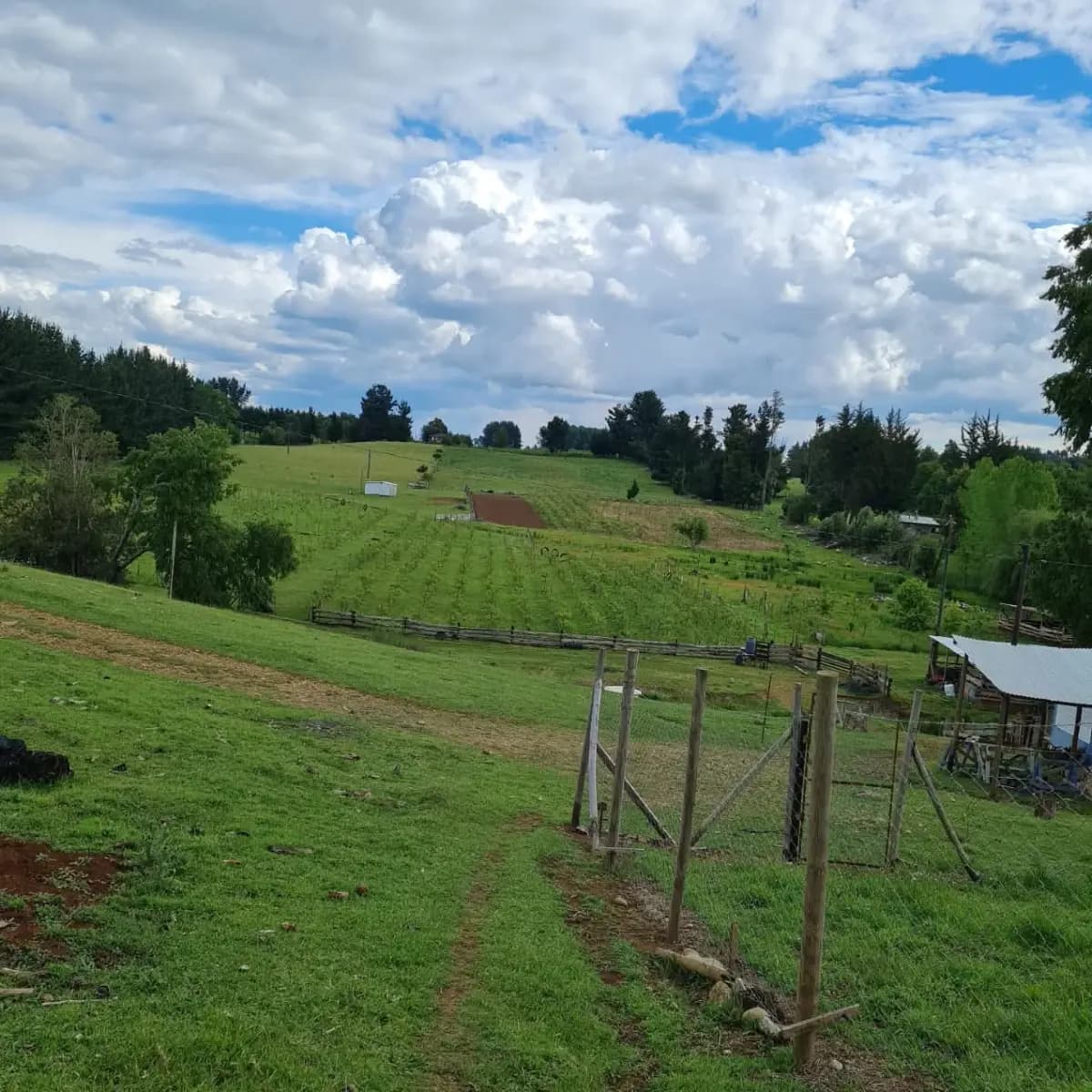 Huichahue, Padre las Casas, Región de La Araucanía 4850000, Chile
