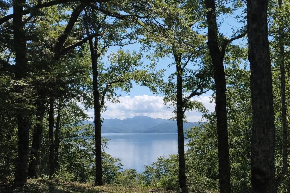 Panguipulli, Región de Los Ríos, Chile