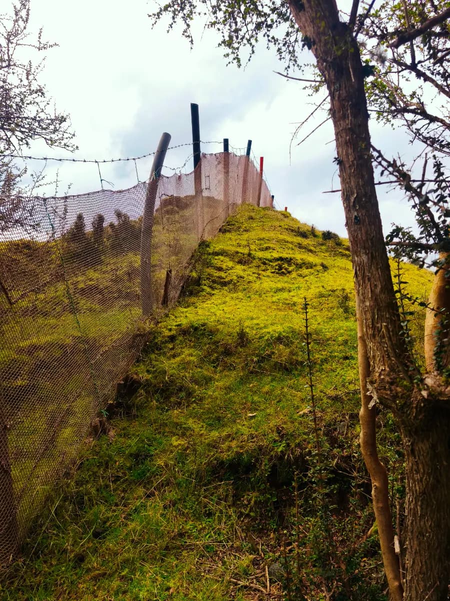 Quellón, Región de Los Lagos, Chile