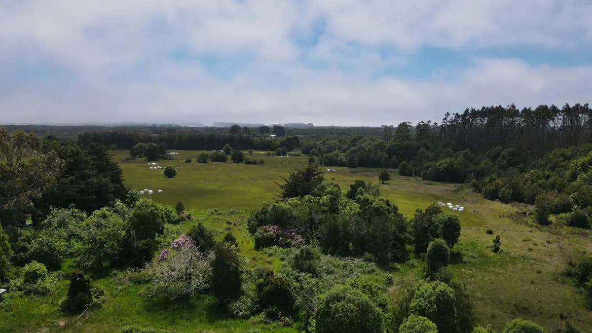 Ruta V-930, Maullín, Región de Los Lagos 5580000, Chile