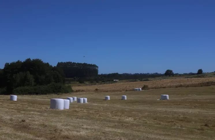 Ruta V-876, Maullín, Región de Los Lagos 5580000, Chile