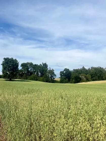 Ruta V-854, Maullín, Región de Los Lagos 5580000, Chile