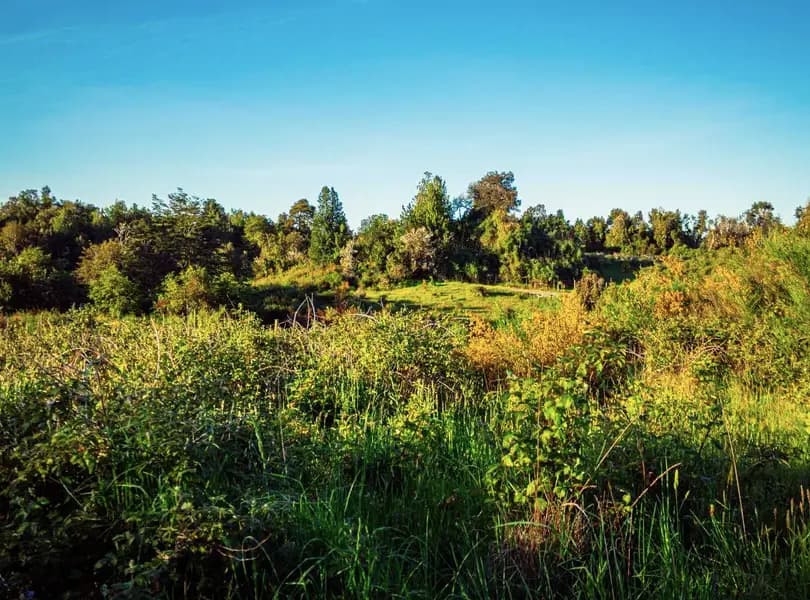 Ruta V-876, Maullín, Región de Los Lagos 5580000, Chile