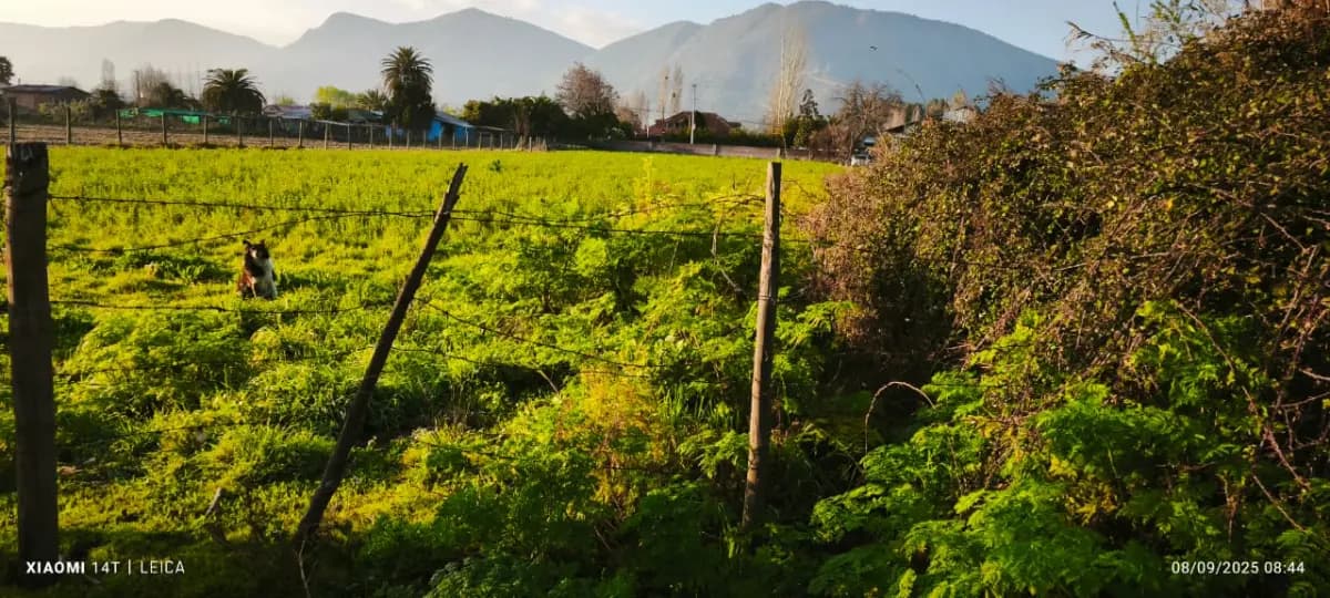 Nancagua, Región de O'Higgins, Chile