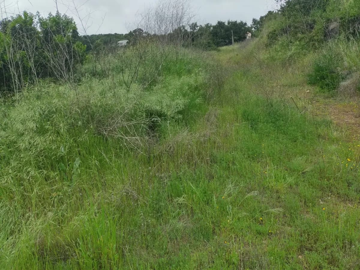 Yali, Santo Domingo, Región de Valparaíso, Chile